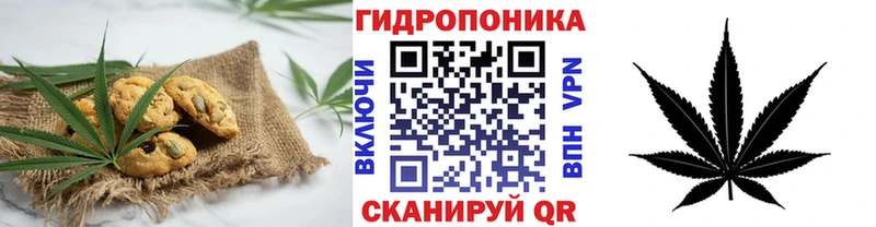сайты даркнета Telegram  Волхов  Cannafood конопля 