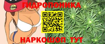 меф Краснознаменск