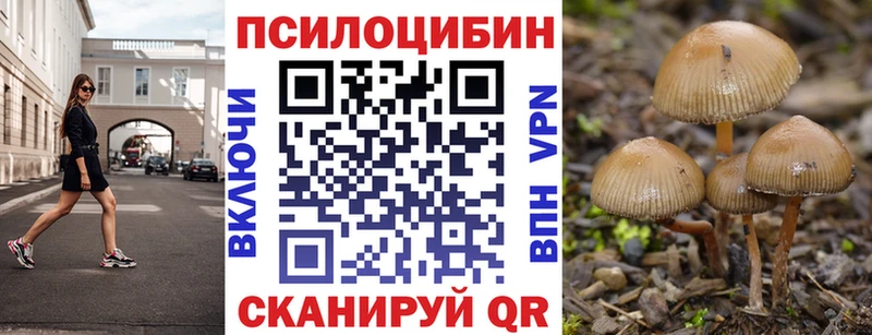 это Telegram  Волхов  Галлюциногенные грибы Psilocybine cubensis 