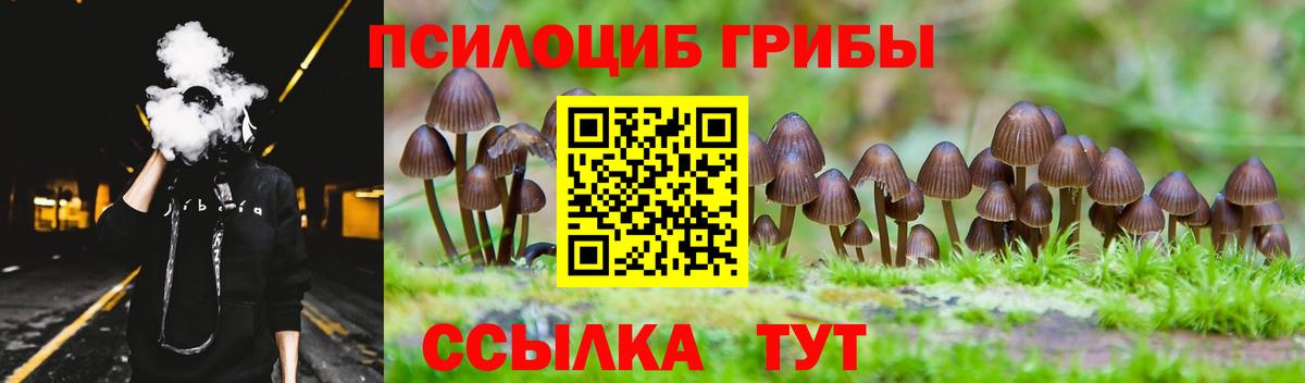 Галлюциногенные грибы MAGIC MUSHROOMS  Вход с VPN  Волхов 